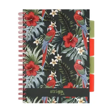 Strigo, Pads, kołozeszyt B5, 100 kartek, kratka, Tropiki, Papuga, 1 szt.