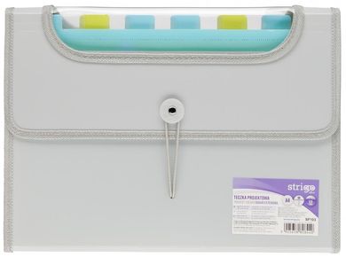 Strigo, teczka A4 z 12 przekładkami, V-file, szara, 1 szt.
