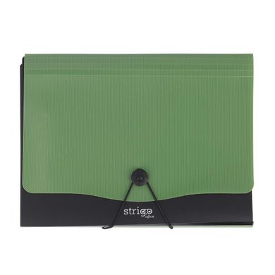 Strigo, Vfile, teczka z 13 przekładkami, A4, c.zielona, 1 szt.