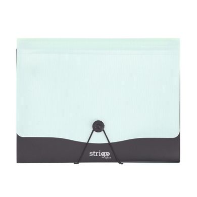Strigo, Vfile, teczka z 13 przekładkami, A4, miętowa, 1 szt.