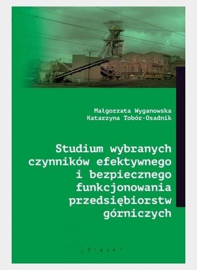 Studium wybranych czynników efektywnego i bezpiecznego funkcjonowaniaprzedsiębiorstw górniczych