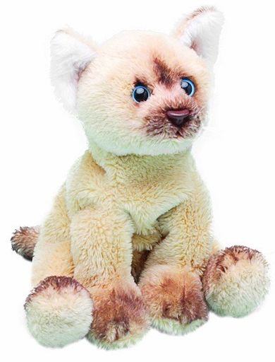 Suki, Kot Himalajski siedzący, maskotka, 13 cm