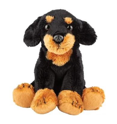 Suki, Pies Jamnik, maskotka