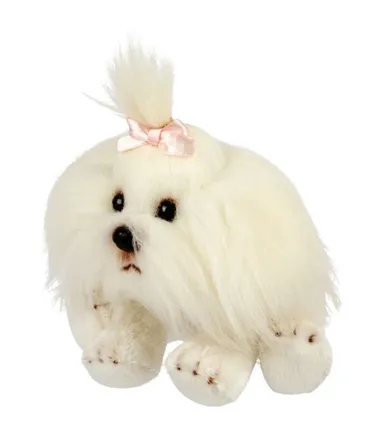 Suki, Pies Shih Tzu, maskotka