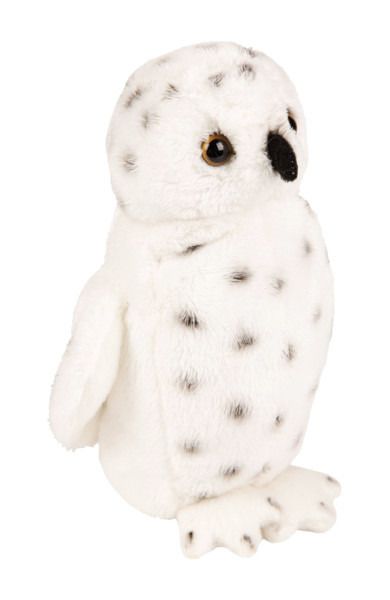 Suki, Sowa, maskotka