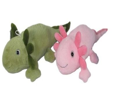 Sun-Day, Aksolotl, maskotka