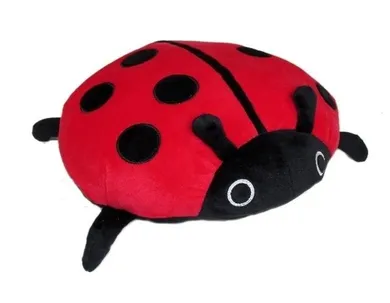 Sun-Day, Biedronka, maskotka, 40 cm