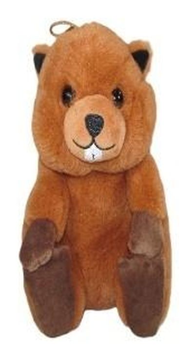 Sun-Day, Bóbr, maskotka, 23 cm