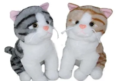 Sun-Day, Kot, maskotka, 35 cm, 1 szt.