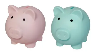 Swede, skarbonka, świnka, 1 szt.