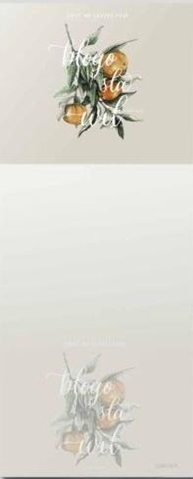 Szaron, notes z magnesem, Obyś, mandarynki, 1 szt.