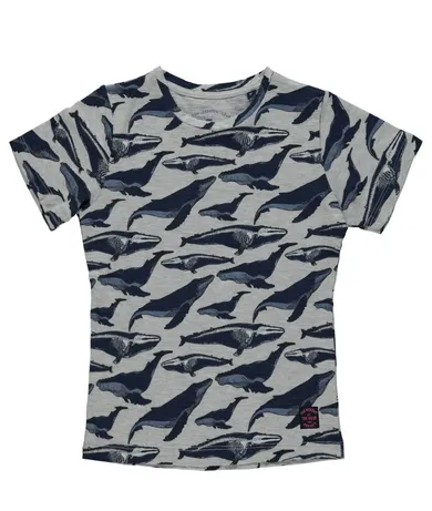 T-shirt chłopięcy, mix, Tom Tailor