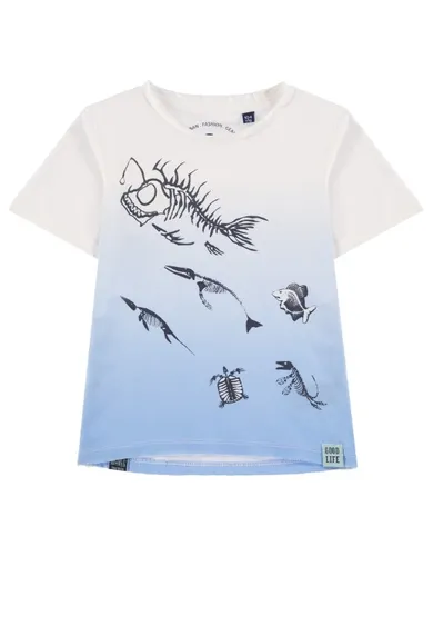 T-shirt chłopięcy, niebieski, Tom Tailor