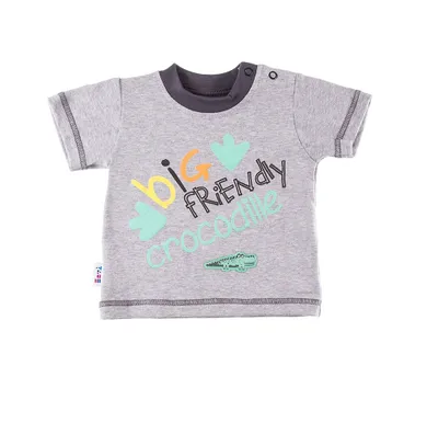 T-shirt chłopięcy, szary, Eevi