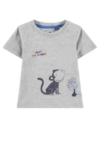 T-shirt chłopięcy, szary, Tom Tailor