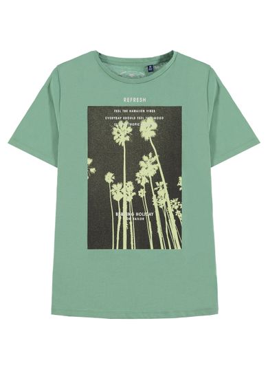 T-shirt chłopięcy, zielony, Tom Tailor