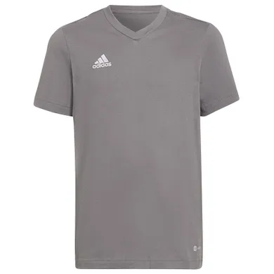 T-shirt dziecięcy, szary, Adidas