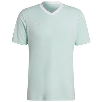 T-shirt męski, niebieski, Adidas Entrada 22 JSY