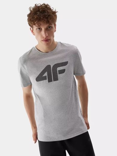 T-shirt męski, szary, 4F