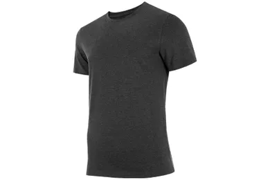 T-shirt męski, szary, 4F