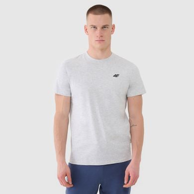 T-shirt męski, szary, 4F