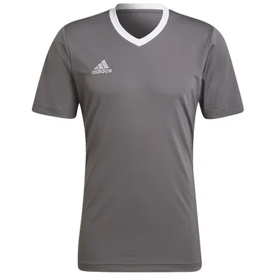 T-shirt męski, szary, Adidas Entrada 22 JSY