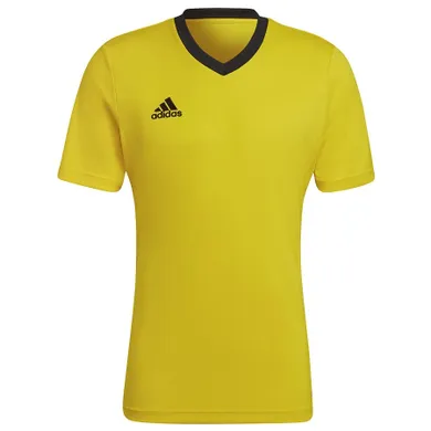 T-shirt męski, żółty, Adidas Entrada 22 JSY
