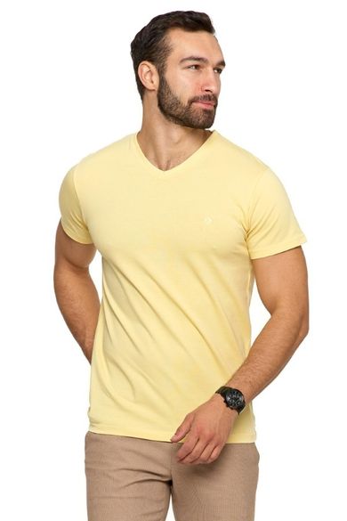 T-shirt męski, żółty, Moraj