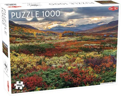 Tactic, Around the World, Northern Stars, Indian Summer in Norrbotten, puzzle, 1000 elementów