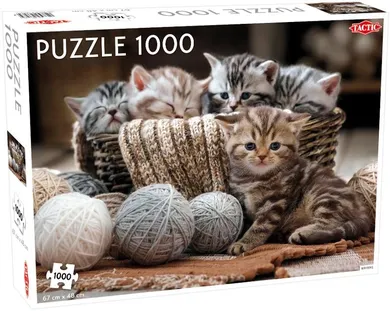 Tactic Games, Animals Cute Kittens, puzzle, 1000 elementów