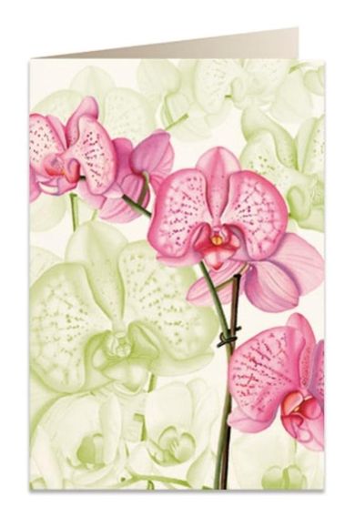 Tassotti, karnet B6 z kopertą, Różowa orchidea