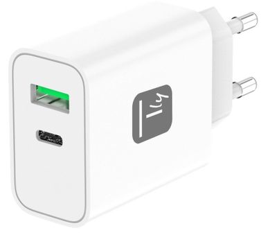 Techly, ładowarka sieciowa, GAN, USB-C, 30W, PD I USB-A