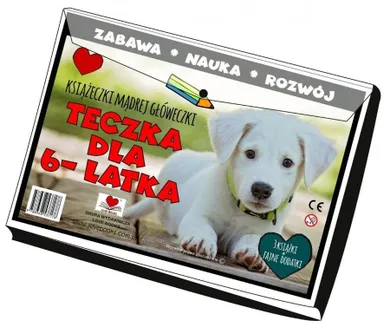 Teczka dla 6 latka. Książeczki mądrej główeczki