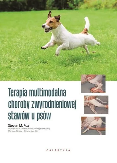 Terapia multimodalna choroby zwyrodnieniowej stawów u psów