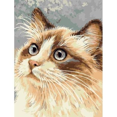 Titanum, malowanie po numerach, Kot, 30-40 cm