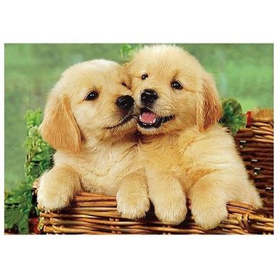 Titanum, mozaika diamentowa, Psy, 30-40 cm