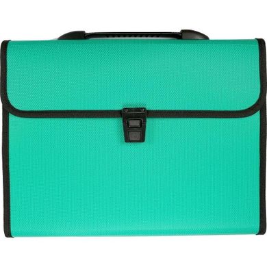Titanum, teczka A4 z rączką, 12 przegródek, zielona, 1 szt.