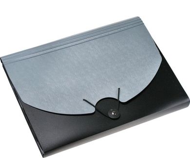 Titanum, teczka z gumką, A4, 13 przegródek, czarno-szara, 1 szt.