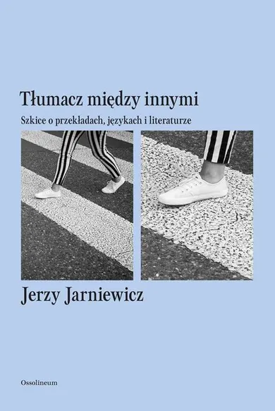 Tłumacz między innymi. Szkice o przekładach językach i literaturze