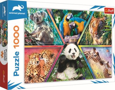 Trefl, Animal Planet, Królestwo zwierząt, puzzle, 1000 elementów