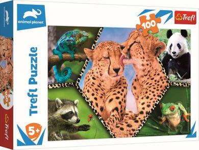 Trefl, Animal Planet, Piękno natury, puzzle, 100 elementów