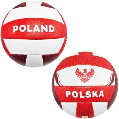 Trifox, piłka siatkowa, Polska