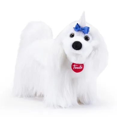 Trudi, maskotka, maltańczyk, M