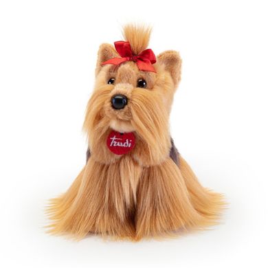 Trudi, Pies Yorkshire Terier, maskotka, S
