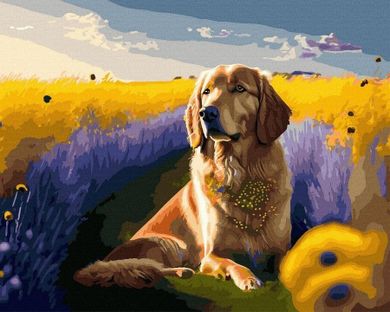 Twoje Hobby, malowanie po numerach + złota farba, Złoty pies..