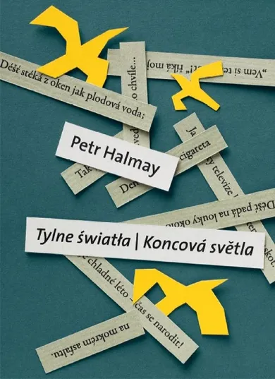 Tylne światła. Koncova svetla