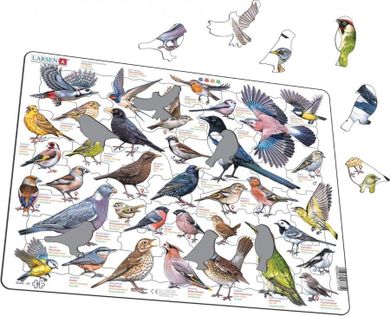 Układanka Garden Birds. Ptaki ogrodowe polne maxi