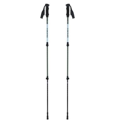 Viking, Kivi 2.0, kije trekkingowe, 65-135 cm