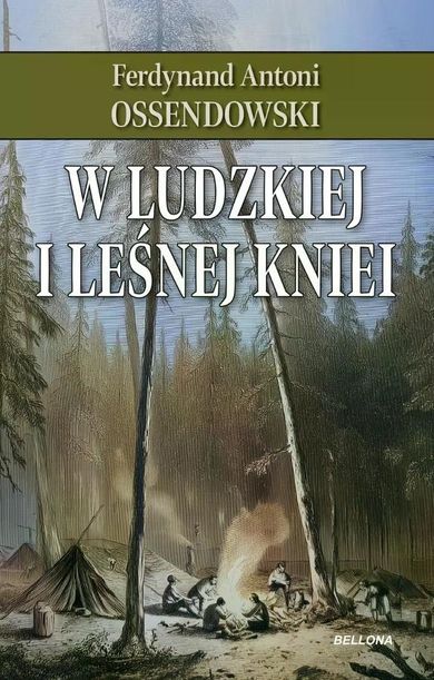 W ludzkiej i leśnej kniei
