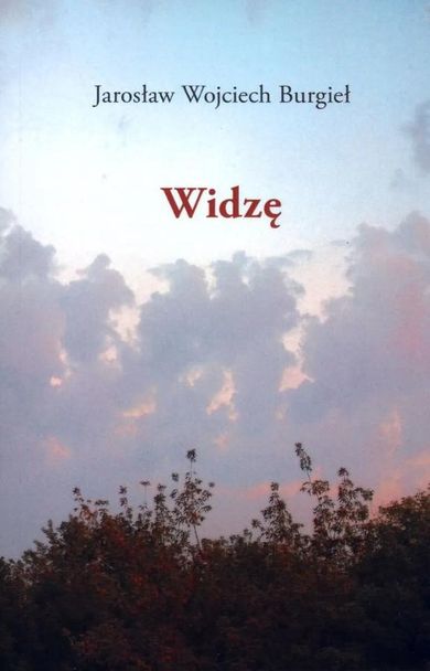 Widzę